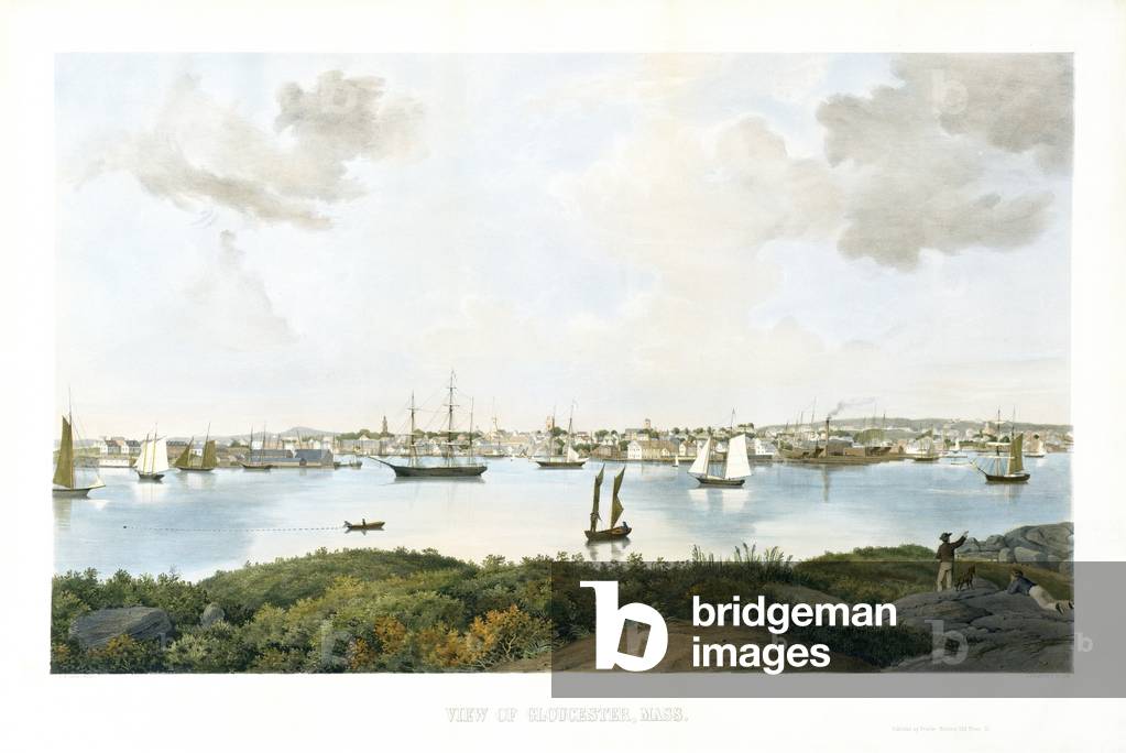 View of Gloucester, Mass., c. 1856 (chromolithograph)