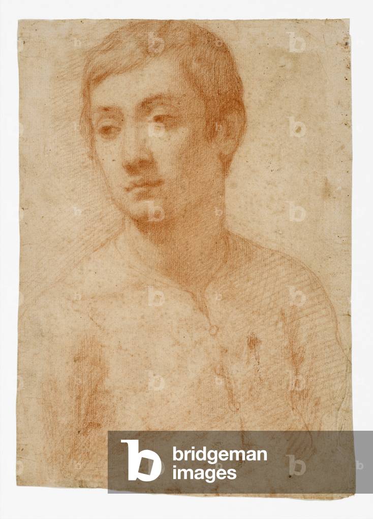 The Head of a Youth, c.1600-25 (red chalk on laid paper)