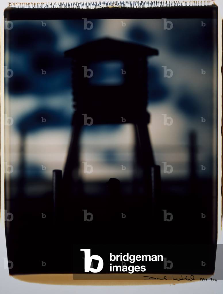 Untitled, 1993-1994 (dye diffusion transfer print)