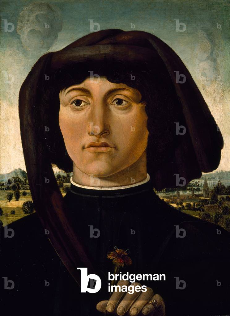 Portrait of a Young Man with a Pink Flower, c.1475-85 (tempera on wood)