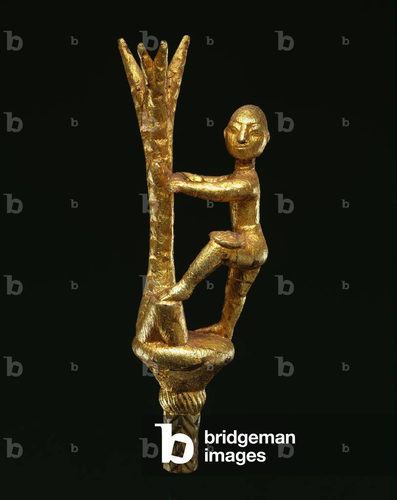 Linguist Staff Finial Representing a Man Scraping Bark from a Tree, 1920-1978 (wood and gold leaf)