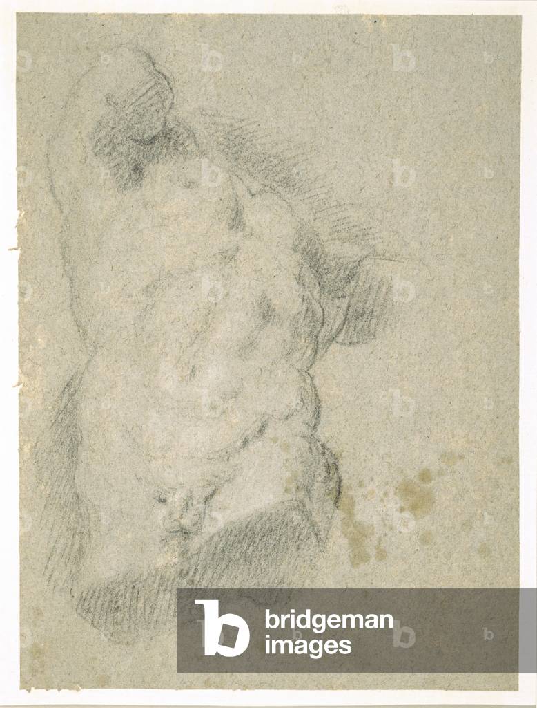 Drawing of a Male Torso (charcoal on blue paper)