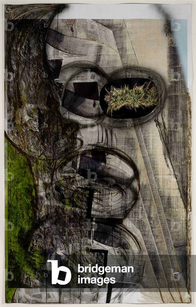 Untitled, 2014 (India ink & collage on chromogenic print)