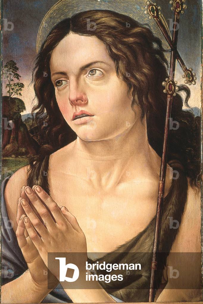 St. John the Baptist, c.1485 (oil on panel)