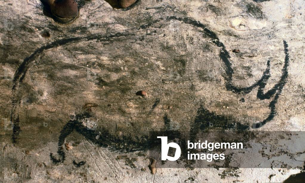 Rhinoceros, Upper Paleolithic (cave painting)