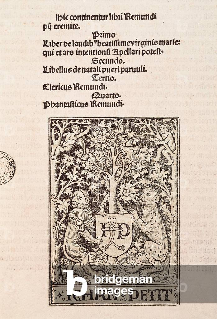 Page of the codex 