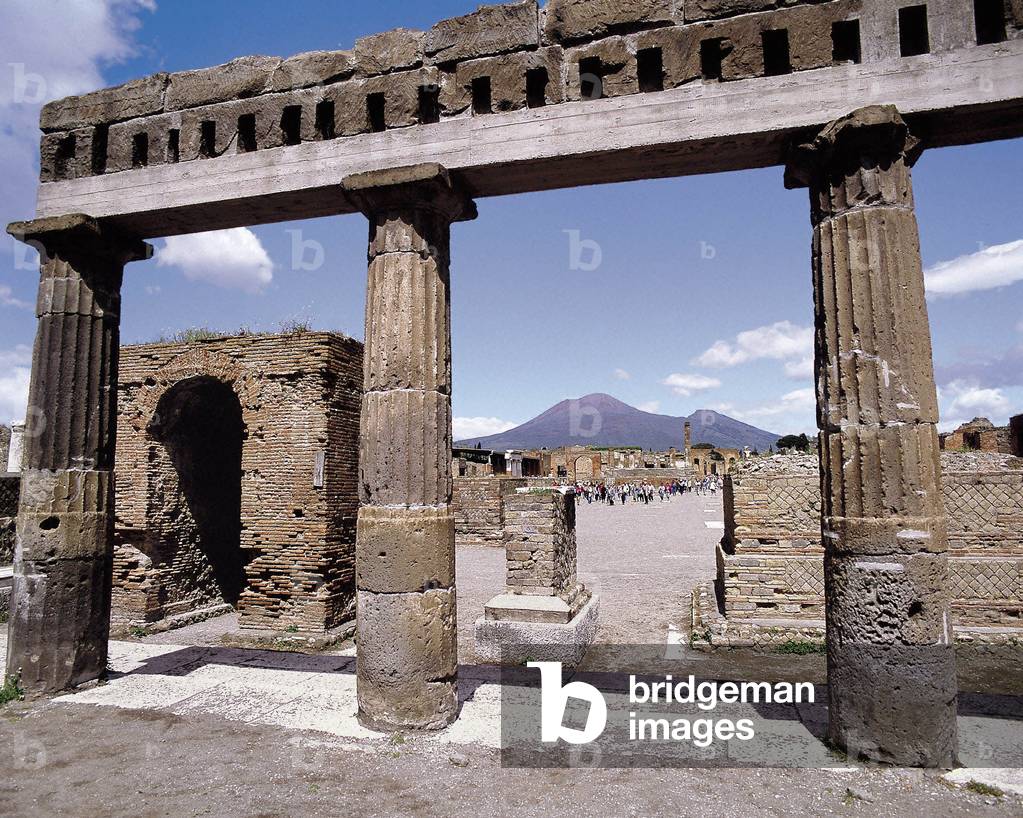 View of Pompei and Vesuvius (photo)