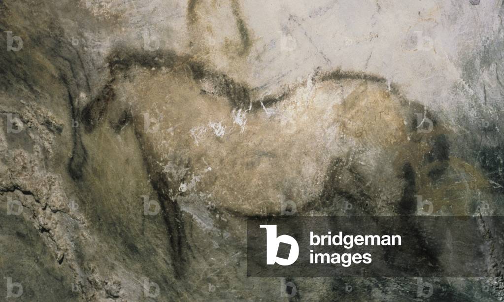 Horse, from the Cueva de la Pena de Candamo San Roman (cave painting)