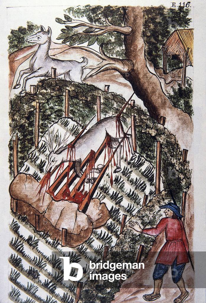 A deer falls into the trap of hunters, from the book 