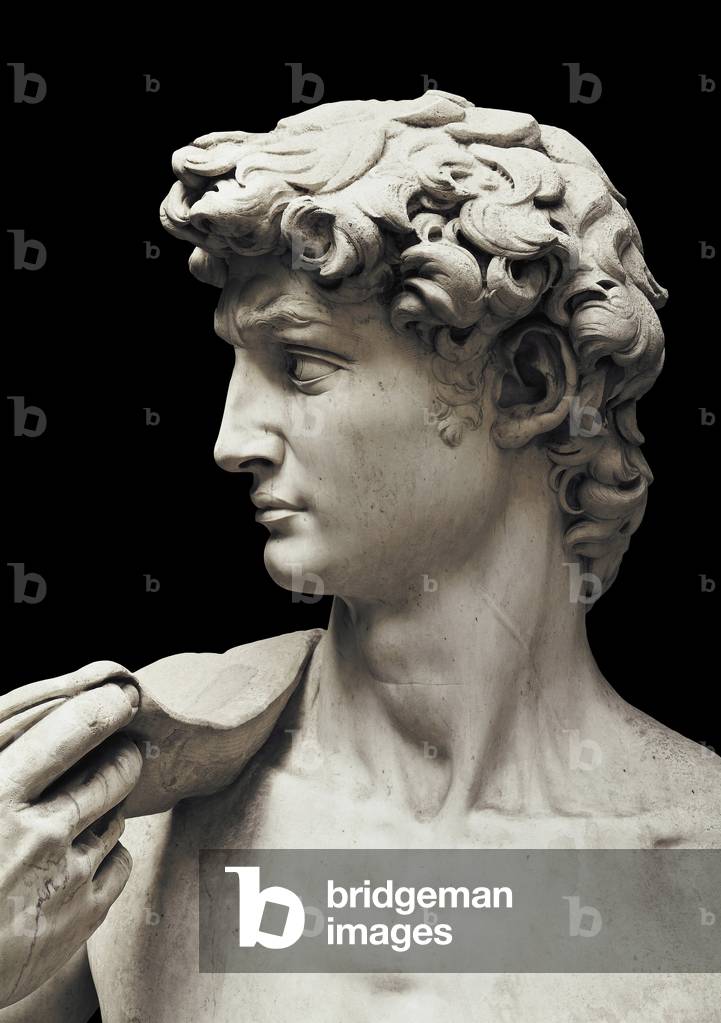 David (detail), 1504 (marble)