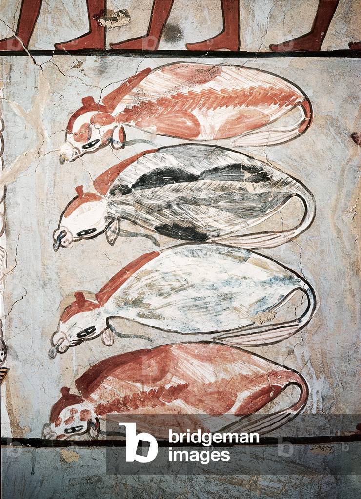 Cows prepared for the banquet, from the Tomb of Sennefer, New Kingdom (wall painting)