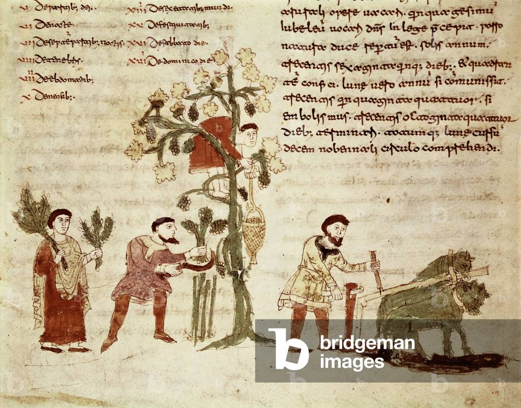 Codex 142 Chap.4 De Temporibus: The Four Seasons, from 'De Universo' by Rabanus Maurus (c.780-856) c.1023 (vellum)