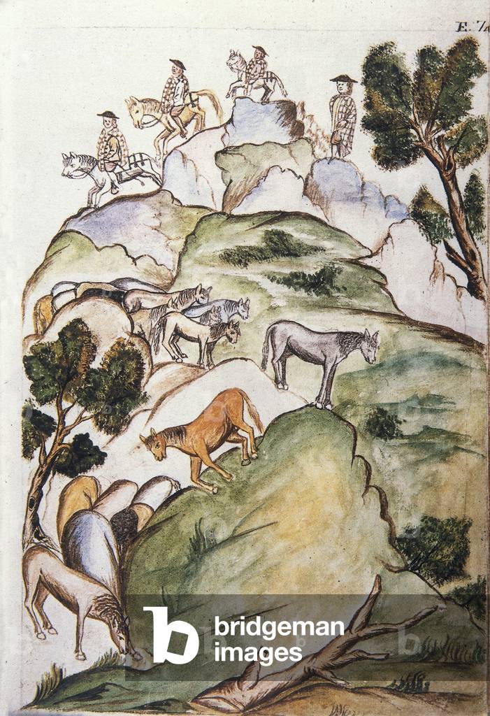 Horse keepers encircle mares in the mountains to catch them, from the book 