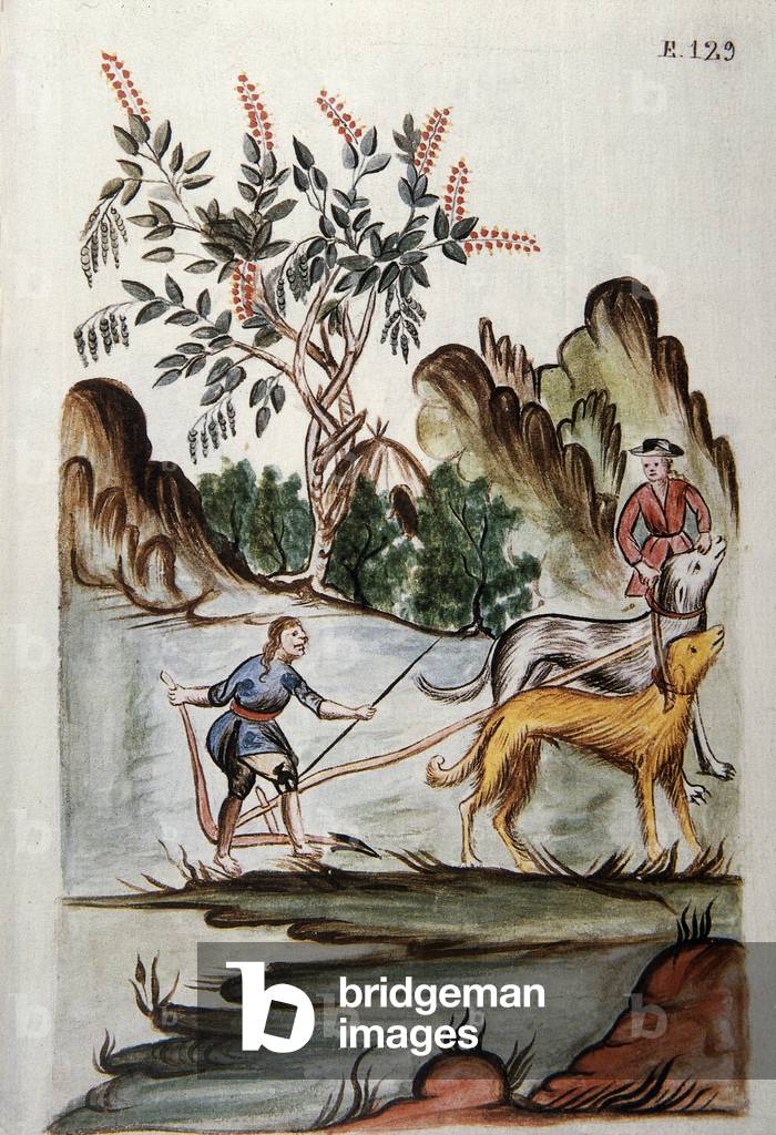 Indians ploughing a field with dogs, from the book 