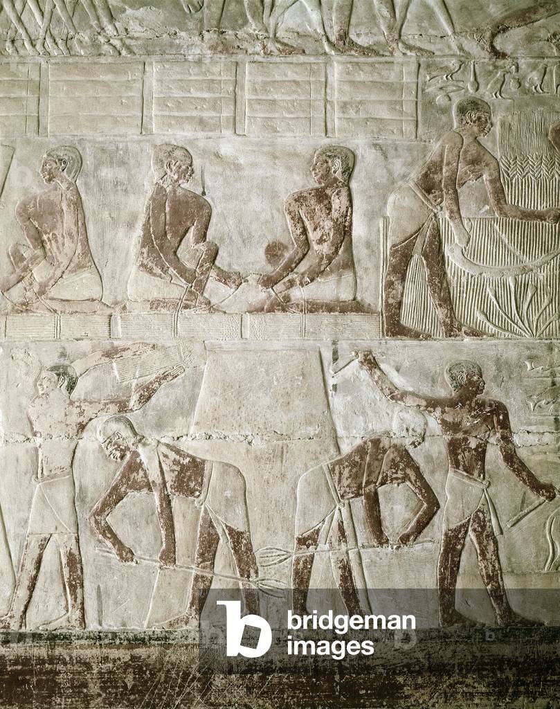 Wheat harvest, from the Mastaba of Mereruka, Old Kingdom (wall painting)