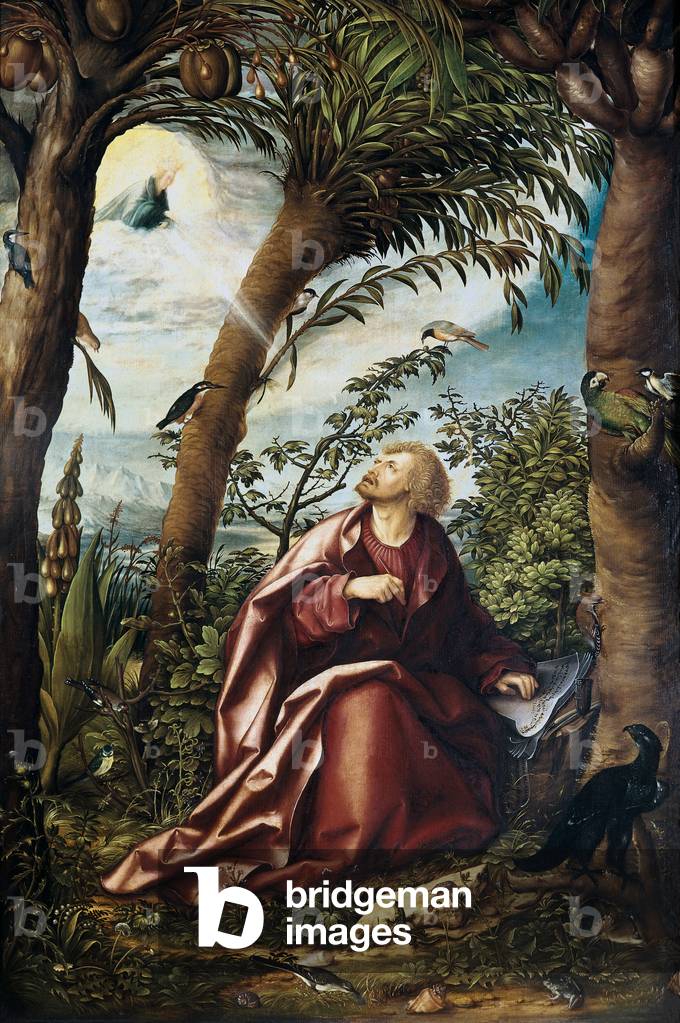 Saint John's vision in Patmos, detail from Saint John altarpiece, 1518