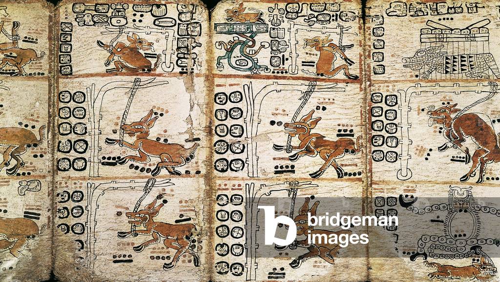 The Madrid Codex or 