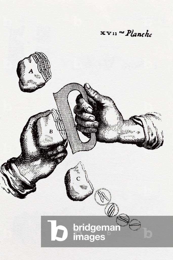 Page from 
