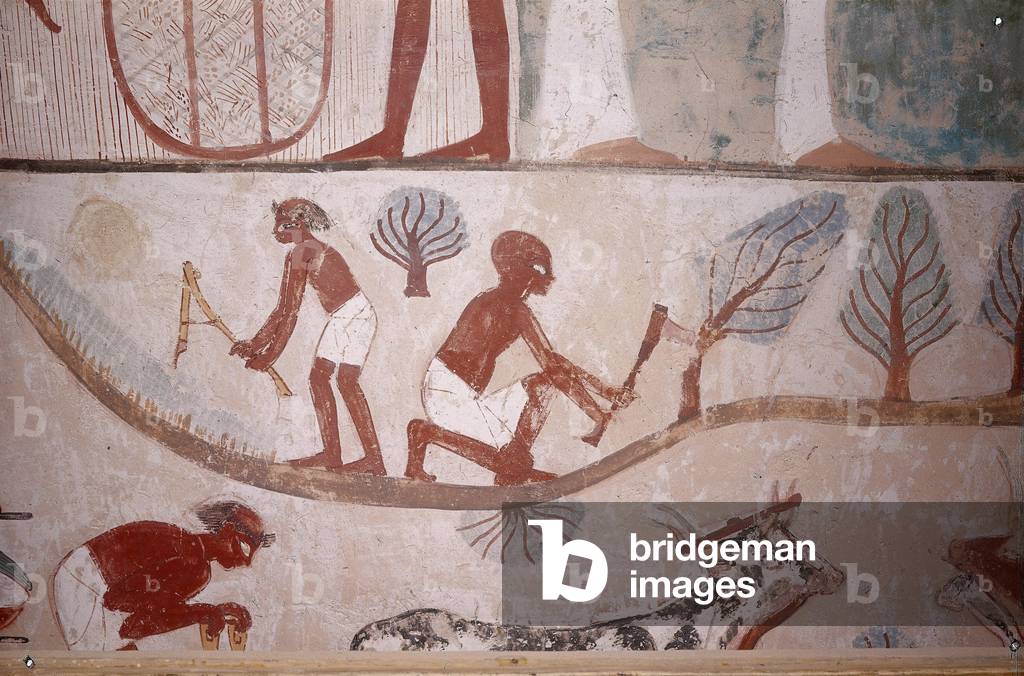 Scene of agriculture (mowing and cutting wood), from the Tomb of Scribe Menna, Egypt, Sheikh Abd el-Qurna, Valley of the Nobles, 18th Dynasty, 14th century BC (fresco)