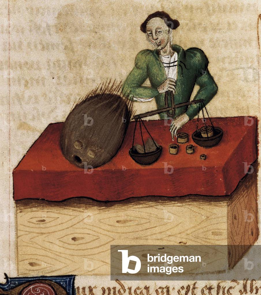 Nutmeg merchant, miniature from Tractatus de herbis (Traité sur les herbes) (miniature)