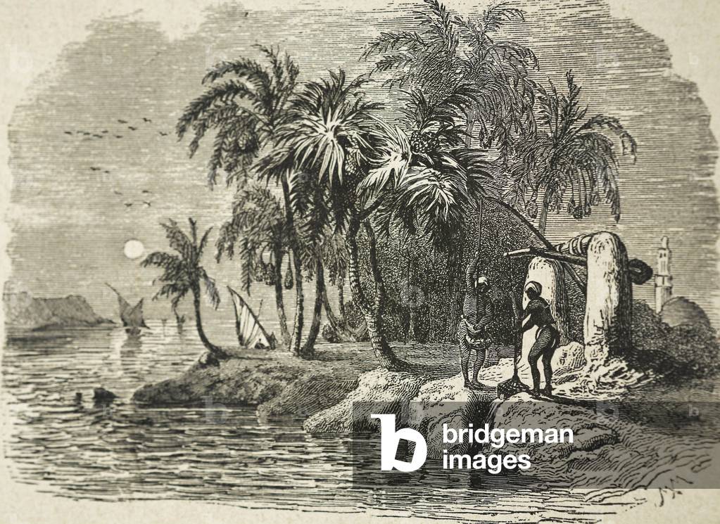 EGYPT (c19th). Scale irrigation in Upper Egypt. Illustration of 1880. Engraving. Private Collection ©Lorio/Iberfoto/Leemage