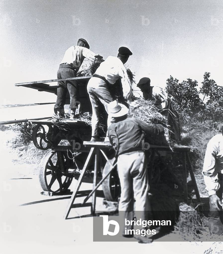 Civil War of Spain (1936-1939): Cooperative of rice in Silla in the province of Valencia (July August 1937). Photograph. Madrid, Archivo Historico Nacional.