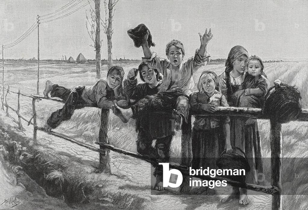 Offspring, 1901 (engraving)