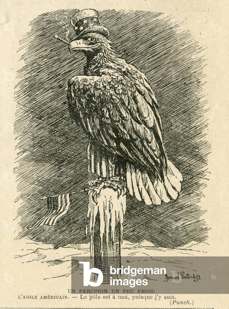 Le Laugher, Satirique en N & B, 1909_10_2: A little cold perch. The American Eagle: - The pole is mine, since I am there - America, Imperialism, North and South Poles - Eagle - Illustration by Bernard Partridge (1861-1945)