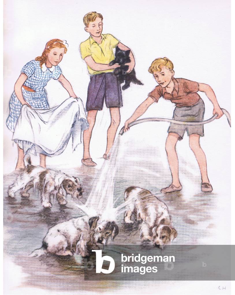 Washing the dogs, from Pets Limited published by Collins, 1950 (colour litho)