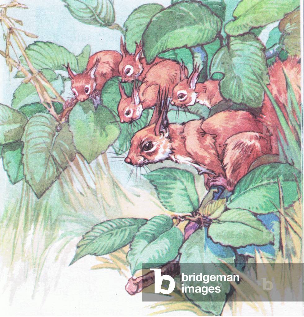Bushy Tail and her four children, illustration from 'Pindi Poo ', 1957 (colour litho)
