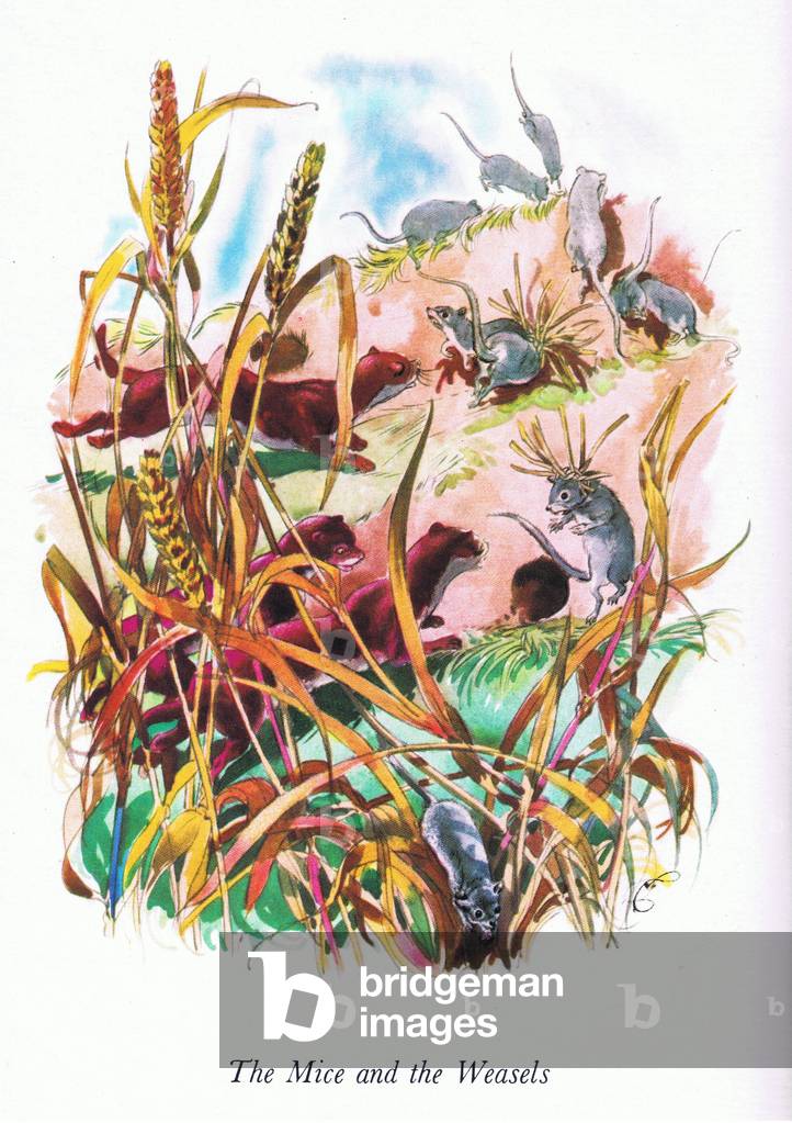 The Mice and the Weasels, from Aesop's Fables including Fables by La Fontaine and others published by Ward Lock, 1970 (colour litho)