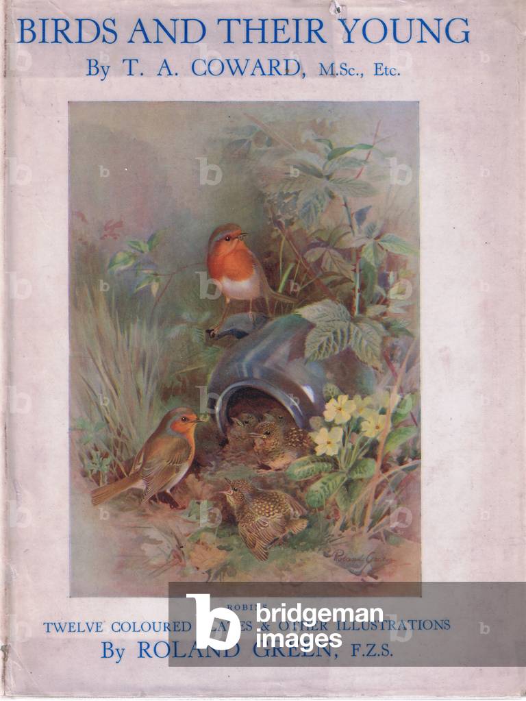 Front cover (colour litho)