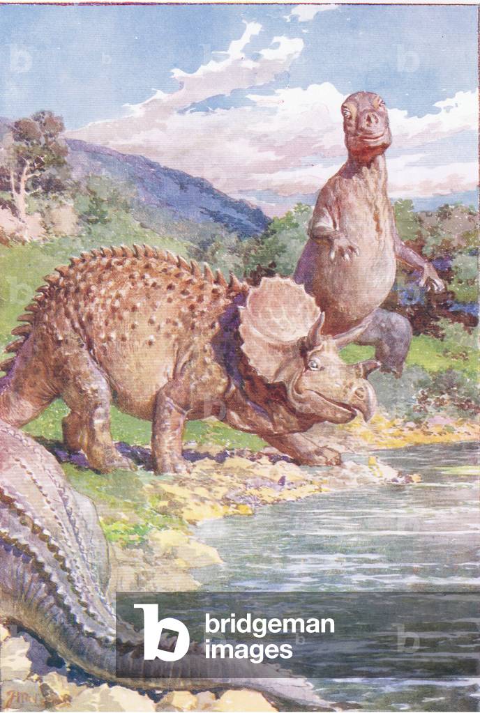 Strange monsters from the dawn of the world (colour litho)