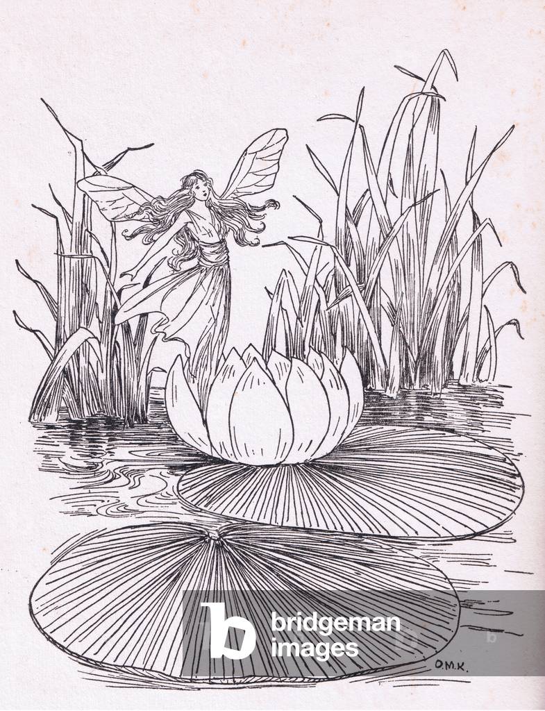 Water Lily fairy, from The Golden Year published by Wells Gardner Darton & Co, c.1930 (litho)