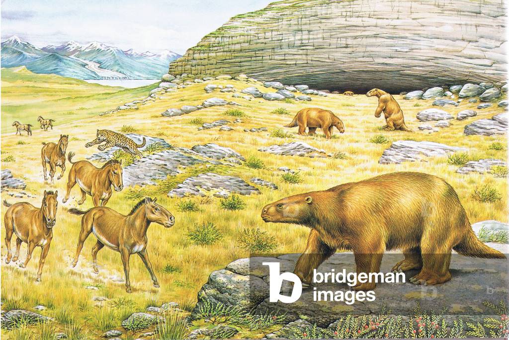 Patagonia; cave; extinct; Jaguar; south American horses; Ground Sloths, from source unknown (colour litho)