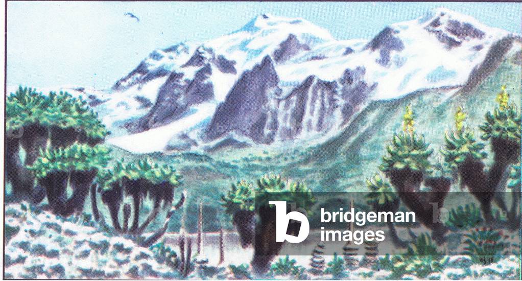 The National Albert Park: The Massif of Ruwenzari, from colour Liebig postcard (colour litho)
