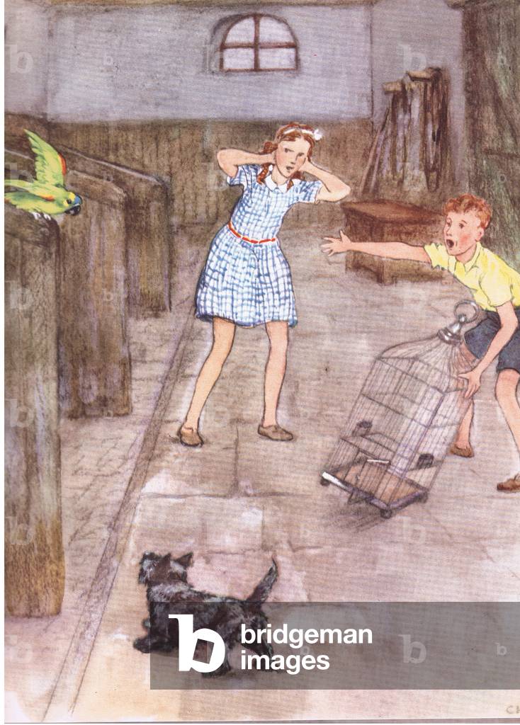 The parrot began to say rude things, from Pets Limited published by Collins, 1950 (colour litho)