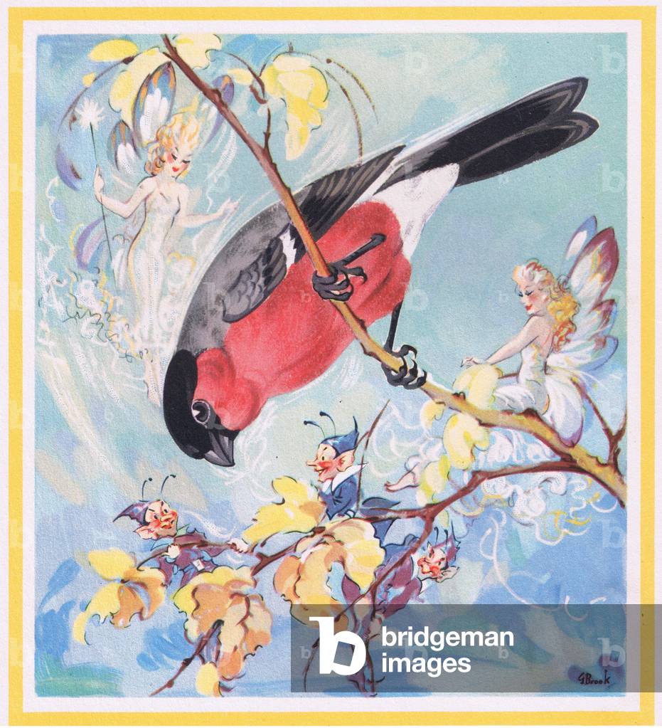 Bullfinch (colour litho)