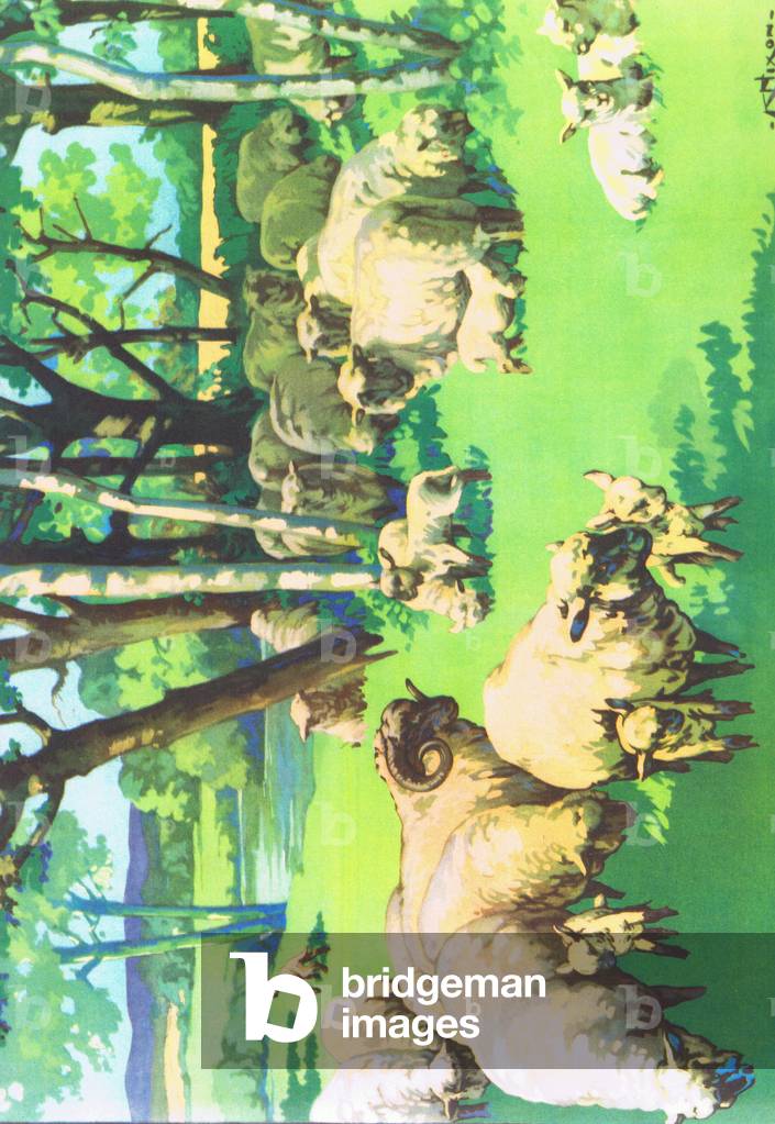 Sheep and lambs, illustration from 'Folio of School posters. Printers unknown', c.1940-61 (colour litho)