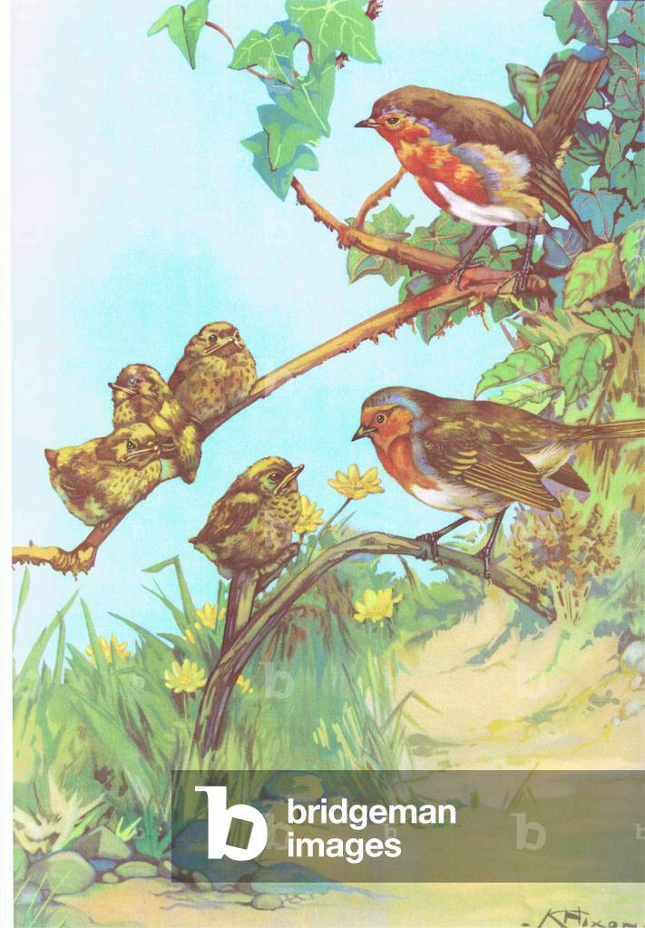 Robins and young, illustration from 'Folio of School posters. Printers unknown', c.1940-71 (colour litho)