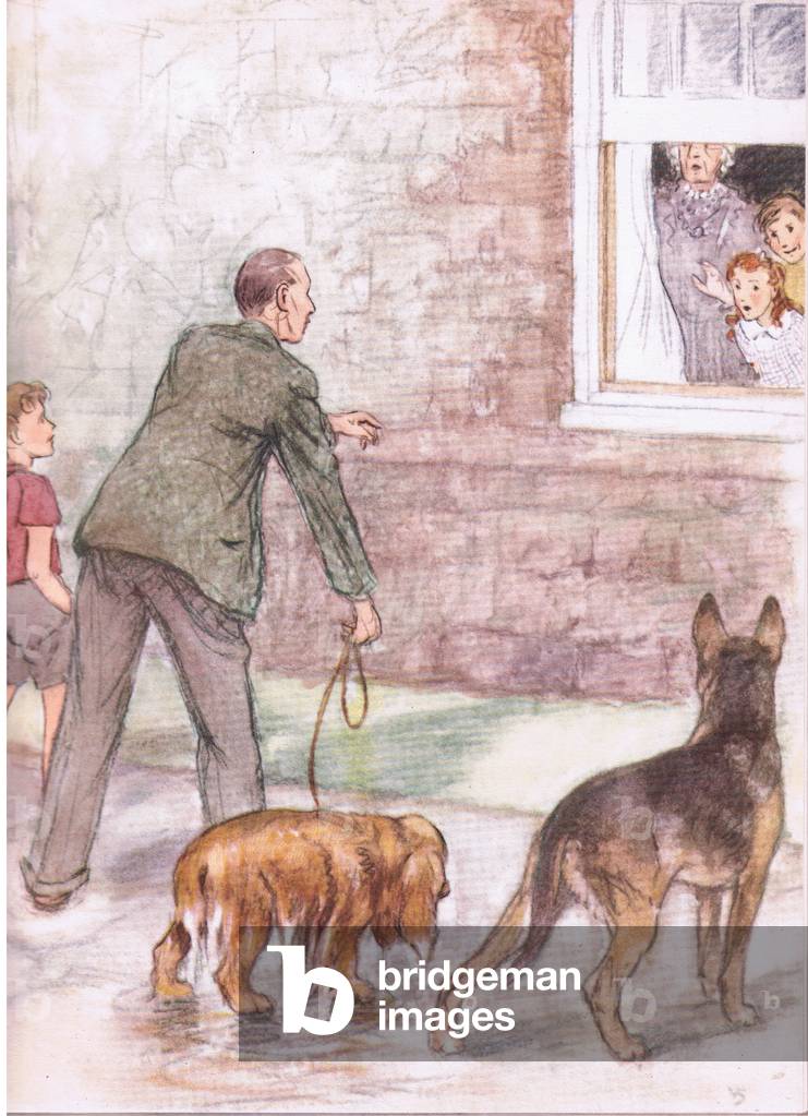 The spaniels were dripping with mud and slime, from Pets Limited published by Collins, 1950 (colour litho)