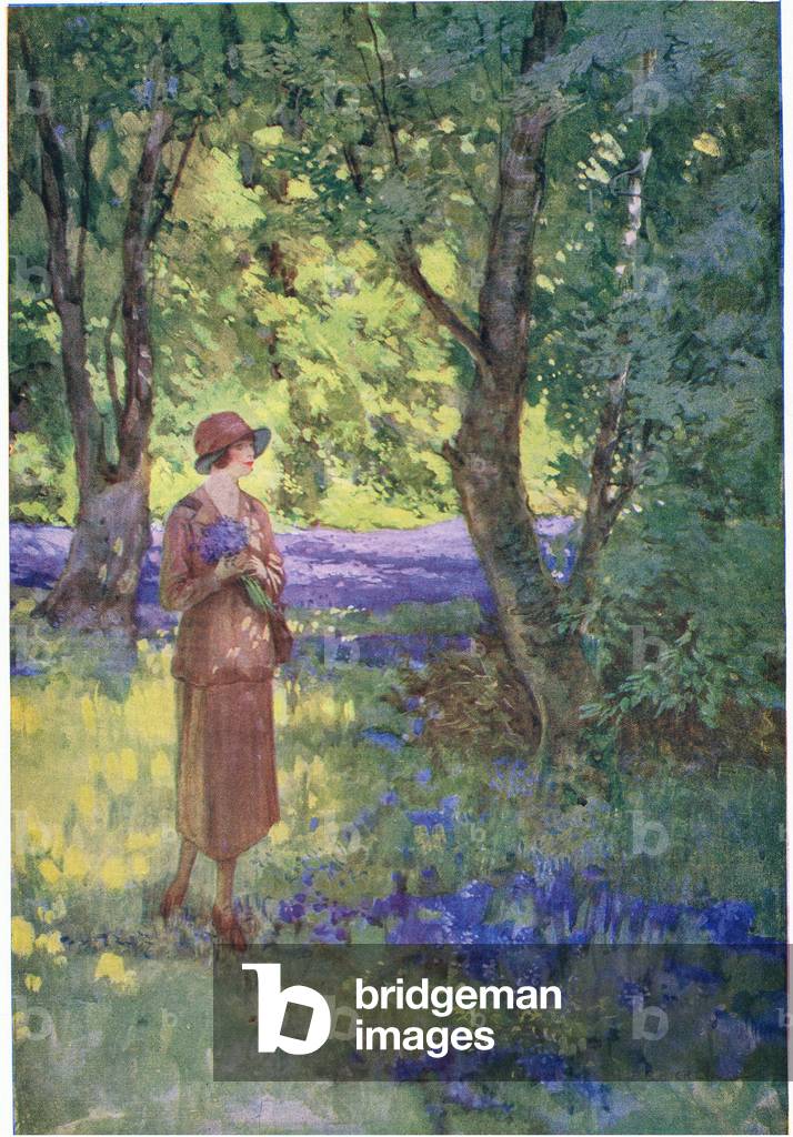 Bluebells and Daffodils in an English wood  (colour litho)