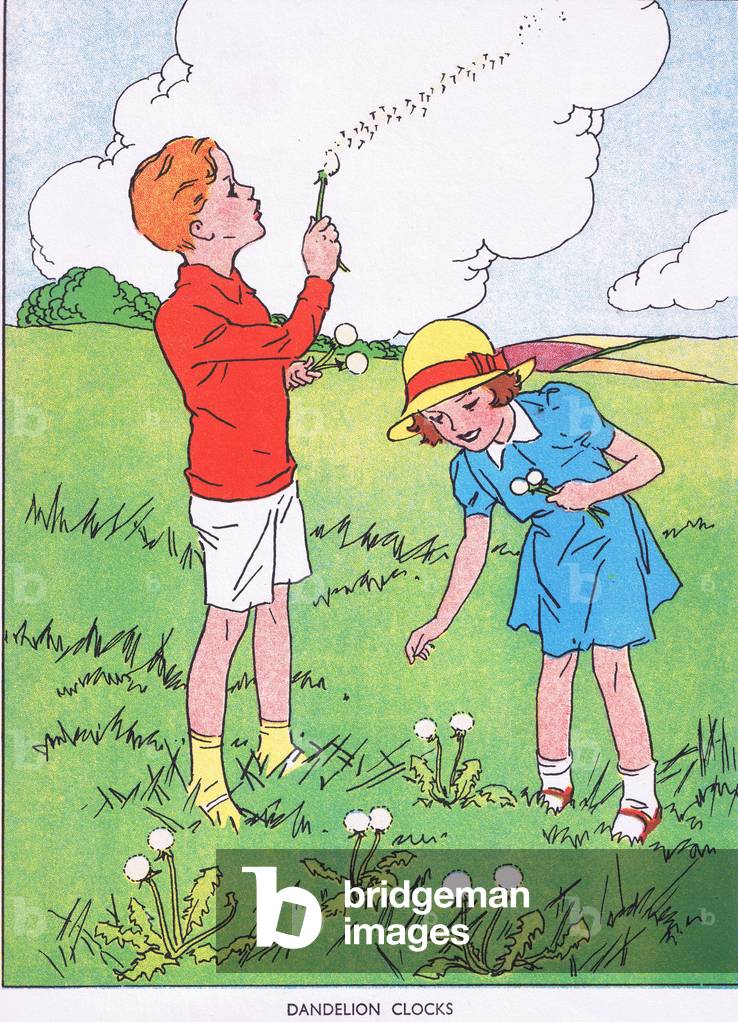 Dandelion clocks, from Jolly Days in the Country published by Blackie & Son Ltd, 1949 (colour litho)