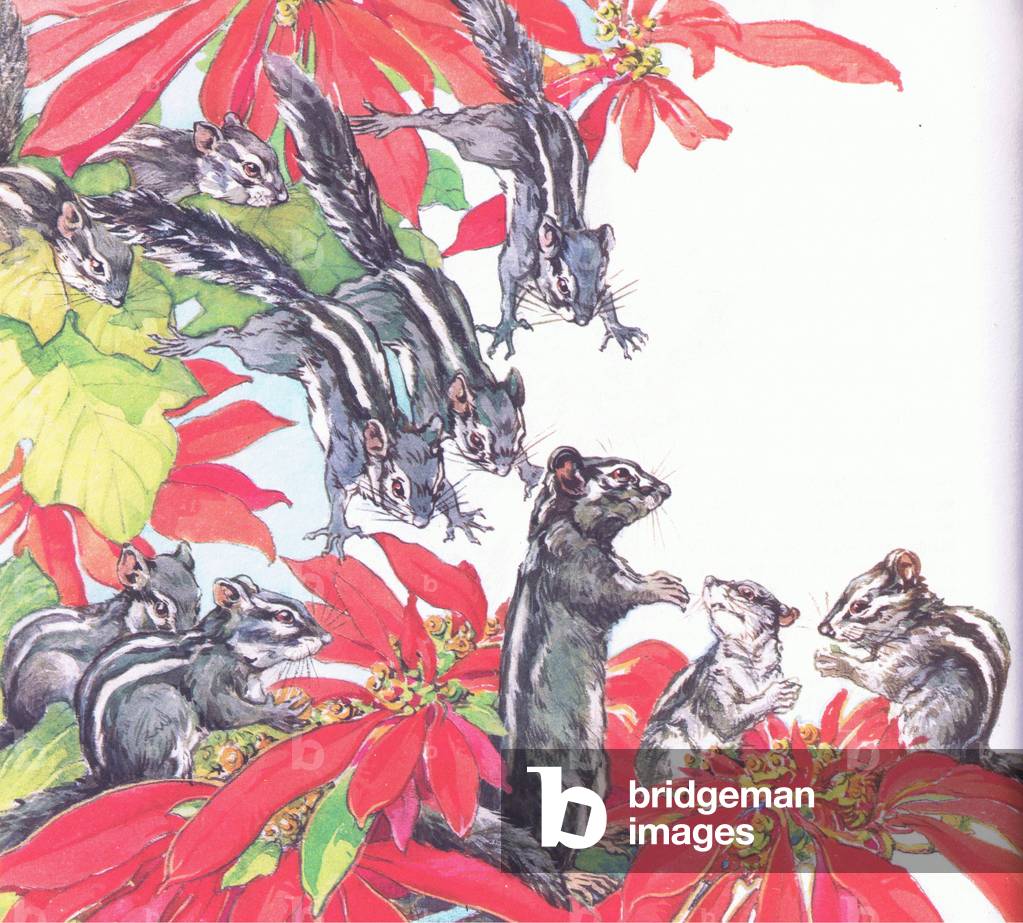 Palm Squirrels, from Animals and Birds in Folklore published by Frederick Warne & Co Ltd, 1969 (colour litho)