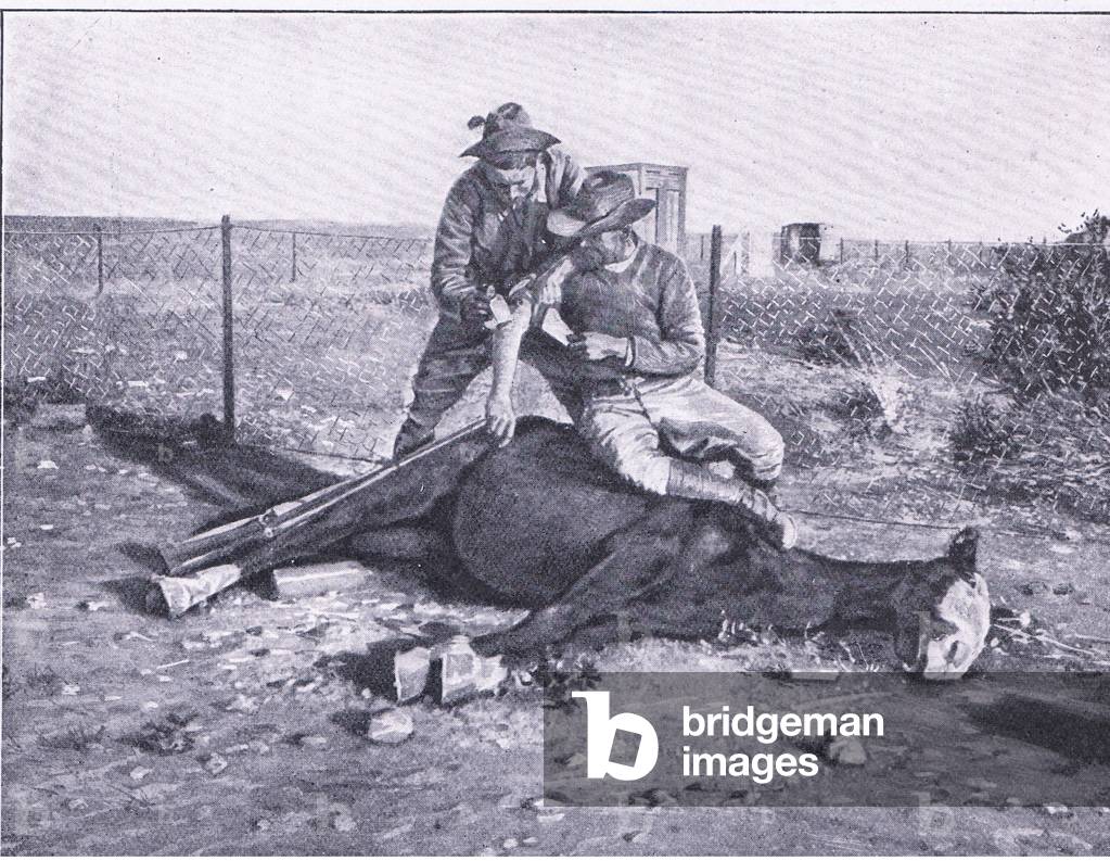 A narrow escape. A wounded scout who has had his horse shot from under him, from After Pretoria: The Guerilla War published by Harmsworth Bros Limited, 1901 (b/w photo)