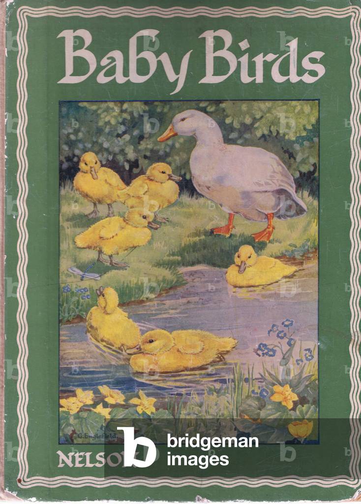 Duck and ducklings (litho)