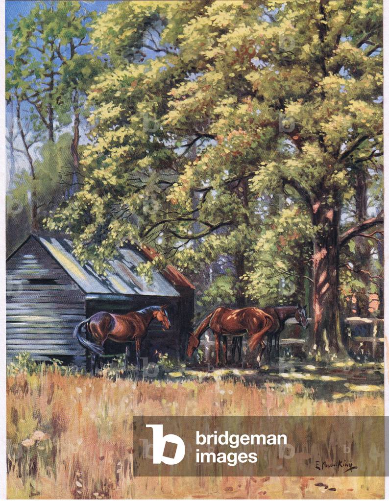 Midsummer, from The Silent Horn published by Collins, 1938 (colour litho)