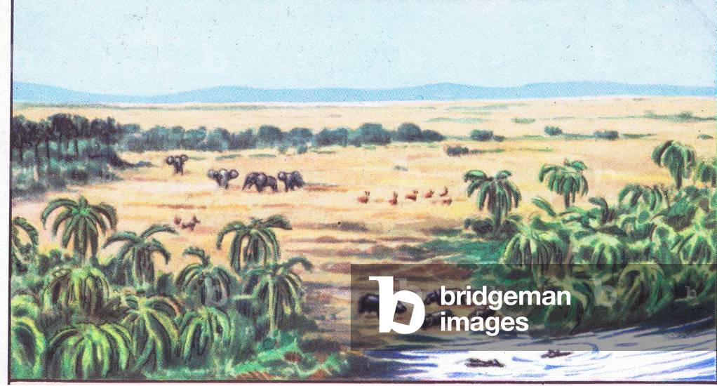 The National Albert Park: The Plains of Rutsuveir, from colour Liebig postcard (colour litho)