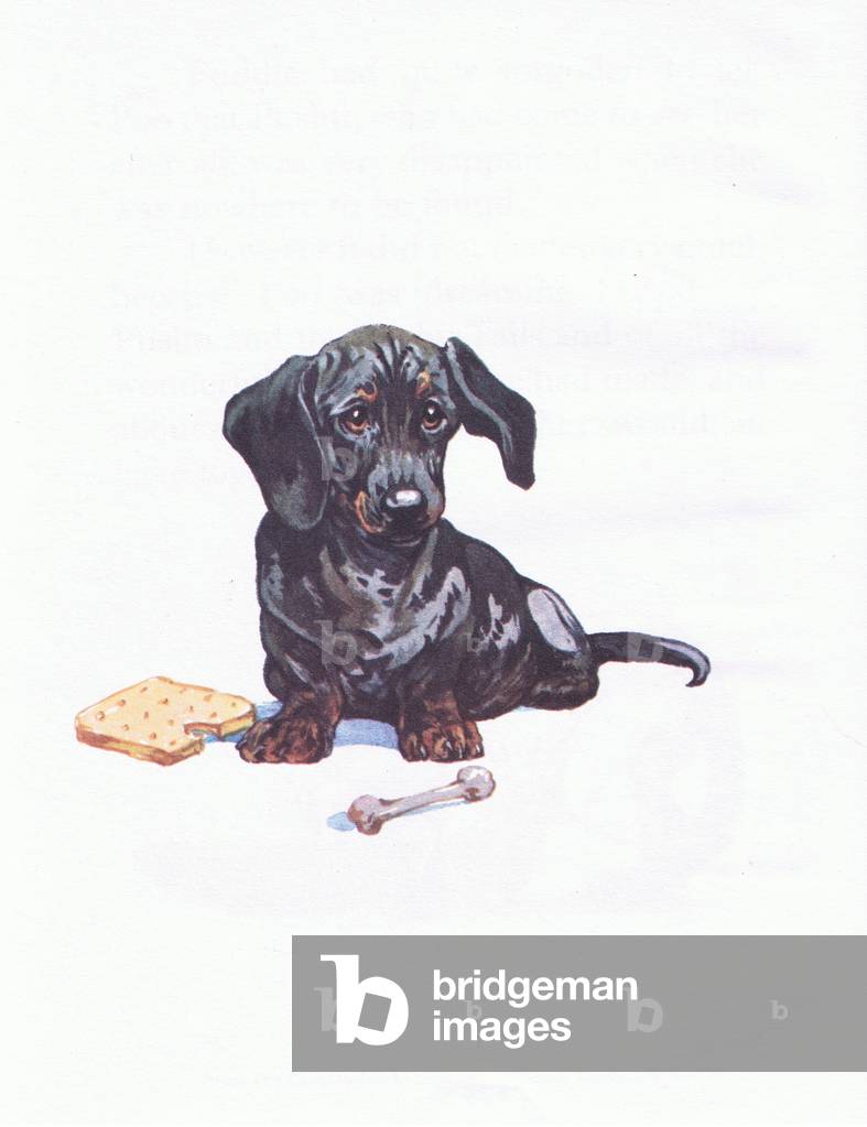 Inside cover design, illustration from 'Pindi Poo ', 1957 (colour litho)