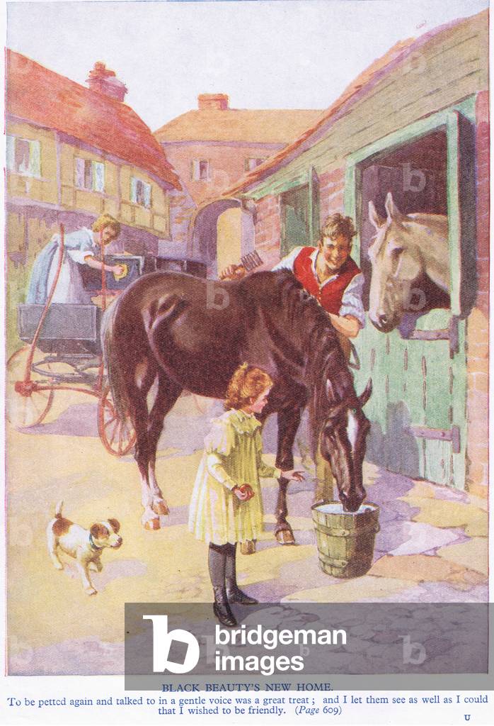 Black Beauty's new home: To be petted again and talked to in a gentle voice was a great treat (colour litho)